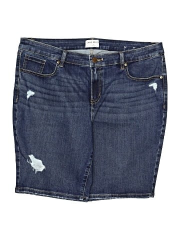 Lane Bryant Denim Shorts (view 1)