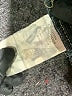 Sequin Hearts Blue Denim Shorts Size 7 - photo 4