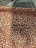 Athleta Print Red Active Pants Size M - photo 7