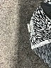 Athleta Animal Print Silver Active Pants Size XL (tall) - photo 8