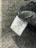 Zac & Rachel Polka Dots Black Active Pants Size 6 Petite - photo 8
