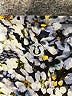 Lululemon Athletica Print Blue Active Pants Size 2 - photo 7