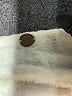 FP One 100% Nylon Ivory Cardigan Size S - photo 7