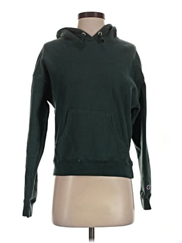 Champion Sweatshirt (view 1)