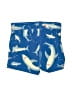 Hanna Andersson Blue Board Shorts Size 18-24 mo - photo 2