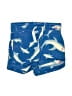 Hanna Andersson Blue Board Shorts Size 18-24 mo - photo 1