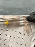 Zella Silver Active Tank Size 2X - photo 7