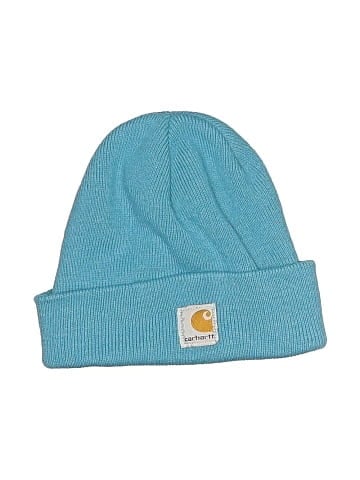 Carhartt Beanie (view 1)