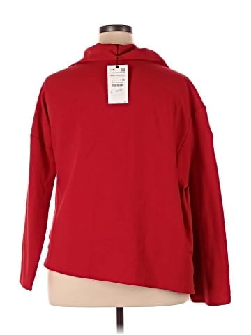 Zara Long Sleeve Top (view 2)