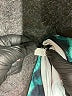 Unbranded Tie-dye Teal Active Pants Size Sm - Med - photo 7