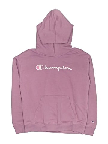 Champion Pullover Hoodie (view 1)