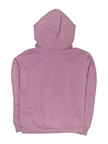 Champion Pullover Hoodie (view 2)