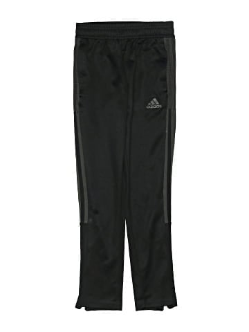 Adidas Track Pants (view 1)