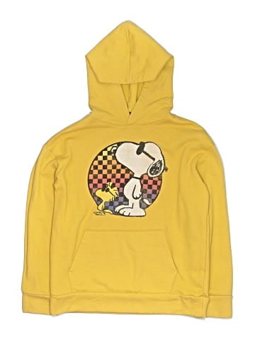Peanuts Pullover Hoodie (view 1)