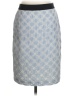 Ann Taylor Blue Casual Skirt Size 4 - photo 1