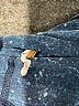 lucy Blue Long Sleeve T-Shirt Size XL - photo 8