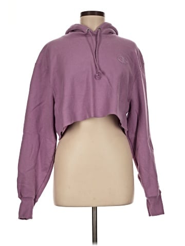 Champion Sweatshirt (view 1)