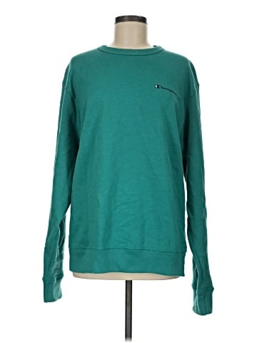 Champion Sweatshirt (view 1)