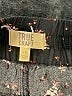 True Craft 100% Rayon Hearts Black Casual Pants Size 1X - photo 4