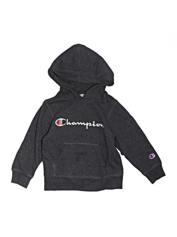 Champion Pullover Hoodie (view 1)