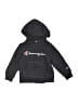 Champion 100% Cotton Gray Pullover Hoodie Size 4 - photo 1