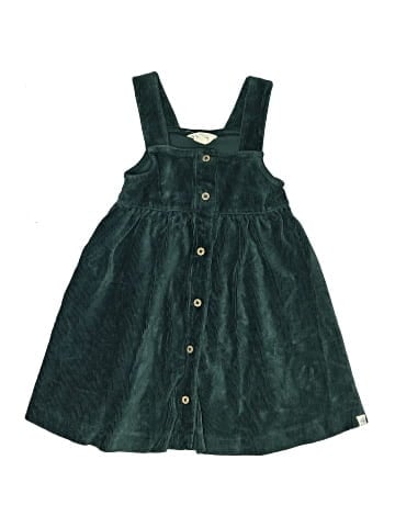 Burt's Bees Baby Dress (view 1)