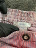 Jacadi Stripes Brown Shorts Size 3 - photo 3