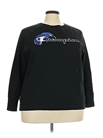 Champion Sweatshirt (view 1)