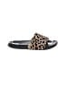 Unbranded Animal Print Brown Sandals Size 7 - photo 1