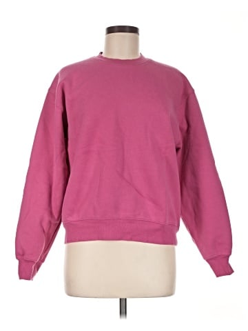 Aritzia Sweatshirt (view 1)