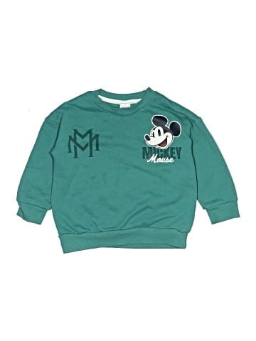 Disney Sweatshirt (view 1)