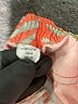 Volcom Orange Board Shorts Size 14 - photo 3