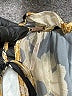 Free People 100% Polyester Gold Long Sleeve Blouse Size S - photo 7