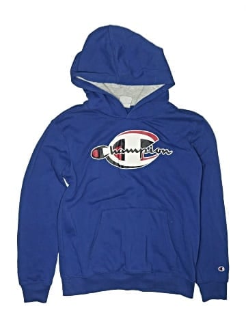 Champion Pullover Hoodie (view 1)