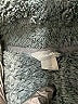 Eddie Bauer 100% Polyester Black Faux Fur Jacket Size L - photo 6