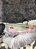 Bonpoint Ivory Dress Size 2 - photo 3