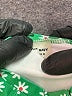 Old Navy Green One Piece Swimsuit 12-18 MO / 18 MO - photo 3