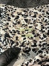Jessica Simpson Animal Print Silver Leggings Size L - photo 7