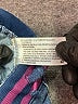 Cat & Jack Blue Jeggings Size 2T - photo 4