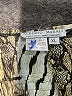 Alberto Makali 100% Polyester Gold Tank Top Size XL - photo 7