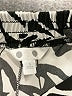 Three Dots Print Silver Black Casual Pants Size S - photo 7
