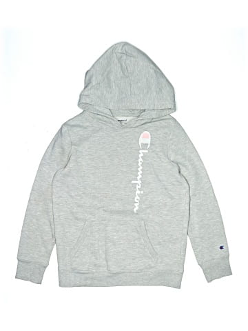 Champion Pullover Hoodie (view 1)
