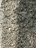 Gap Silver Short Sleeve T-Shirt Size 4 - photo 5