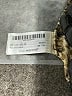 Zara Animal Print Gold Skort Size XS - photo 4