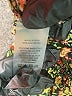 Vince Camuto 100% Polyester Brown 3/4 Sleeve Blouse Size 1X - photo 9