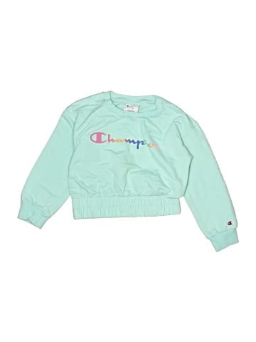 Champion Sweatshirt (view 1)