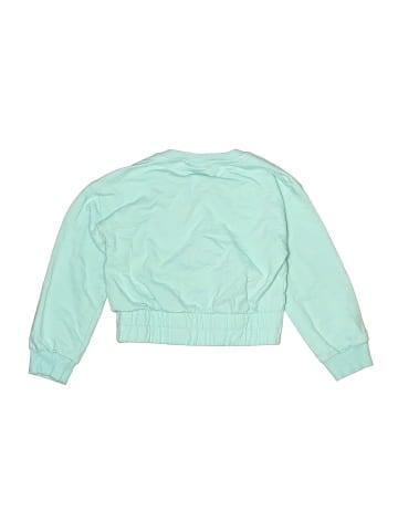Champion Sweatshirt (view 2)