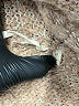 Soft Surroundings Brown Cardigan Size XS - photo 8