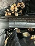 Zara Floral Gold Casual Pants Size S - photo 8