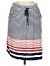 Max Studio Stripes Blue Casual Skirt Size M - photo 1